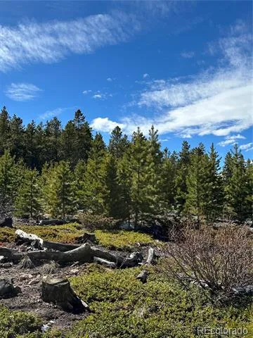 1101 County Rd 99 Black Hawk, CO 80422