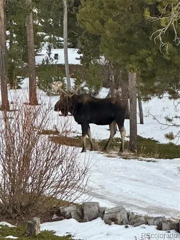 1101 County Rd 99 Black Hawk, CO 80422