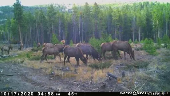 1101 County Rd 99 Black Hawk, CO 80422