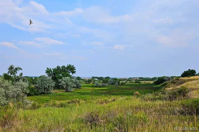 16138 White Hawk Drive Parker, CO 80134