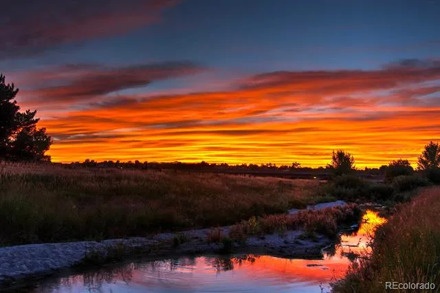 16138 White Hawk Drive Parker, CO 80134