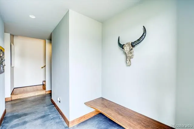 421 Z ROAD Silverthorne, CO 80498