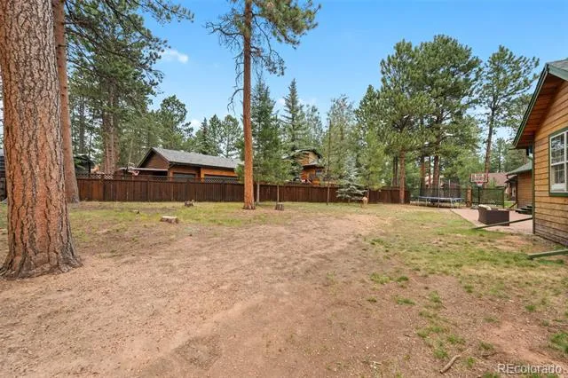 1400 Eagle Trace Court Woodland Park, CO 80863