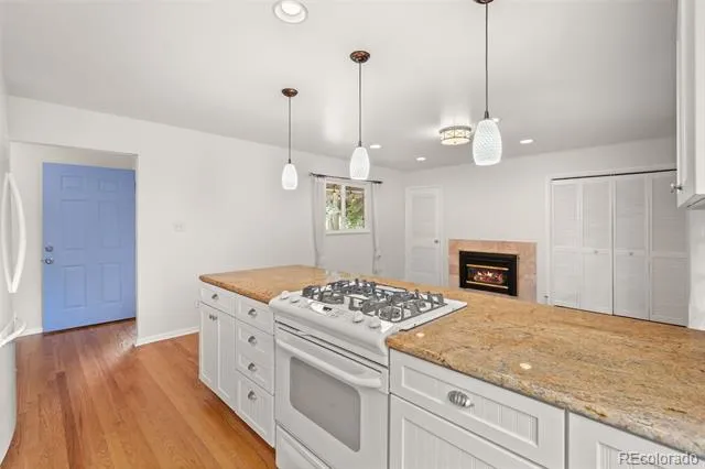 28236 Lupine Drive Evergreen, CO 80439