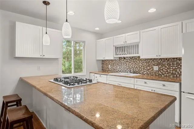 28236 Lupine Drive Evergreen, CO 80439