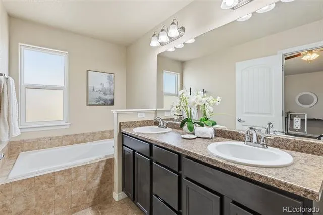 7916 Lightwood Way Colorado Springs, CO 80908