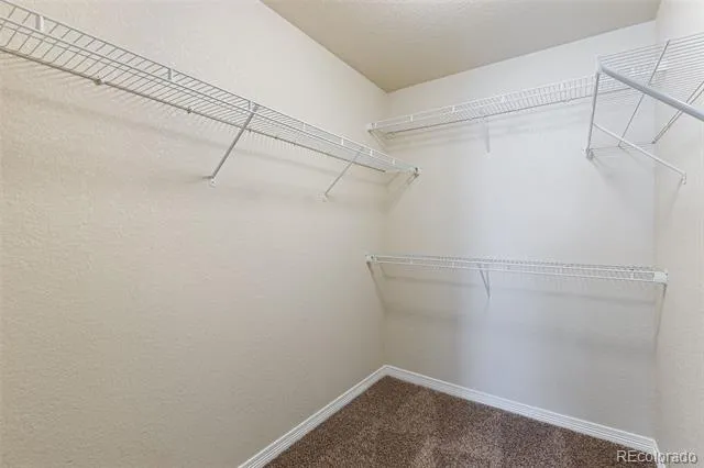 7916 Lightwood Way Colorado Springs, CO 80908
