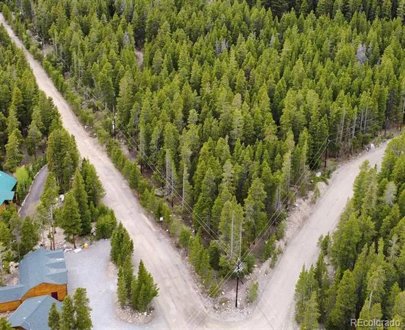 1090 Alice Road Idaho Springs, CO 80452