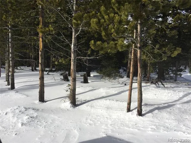 1090 Alice Road Idaho Springs, CO 80452