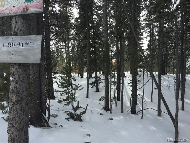 1090 Alice Road Idaho Springs, CO 80452