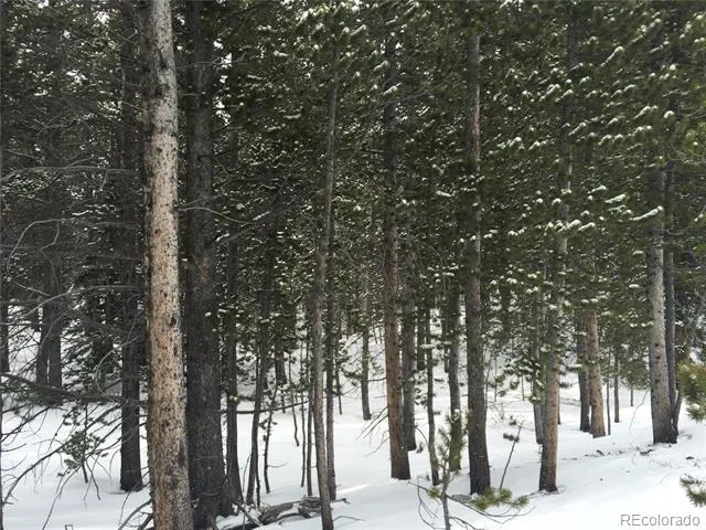1090 Alice Road Idaho Springs, CO 80452