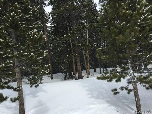 1090 Alice Road Idaho Springs, CO 80452