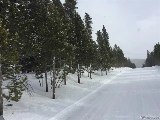 1090 Alice Road Idaho Springs, CO 80452