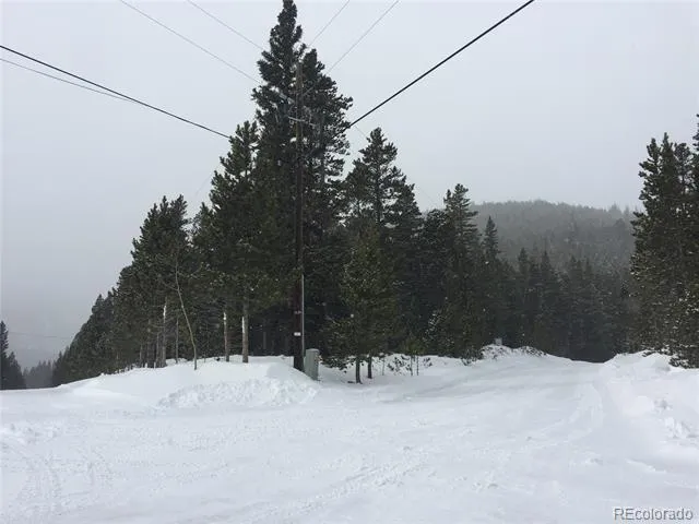1090 Alice Road Idaho Springs, CO 80452
