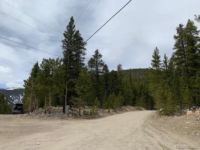 1090 Alice Road Idaho Springs, CO 80452