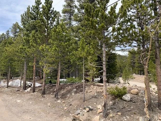 1090 Alice Road Idaho Springs, CO 80452