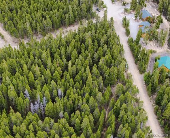 1090 Alice Road Idaho Springs, CO 80452