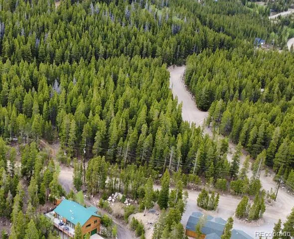 1090 Alice Road Idaho Springs, CO 80452