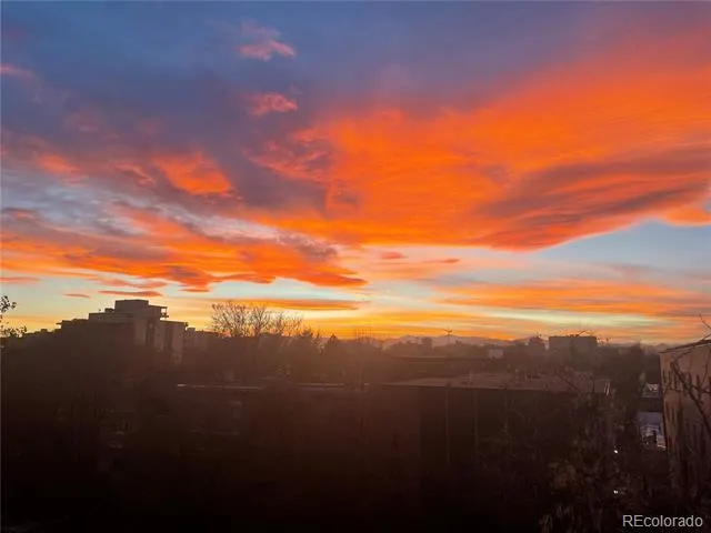 1050 Corona Street #317 Denver, CO 80218