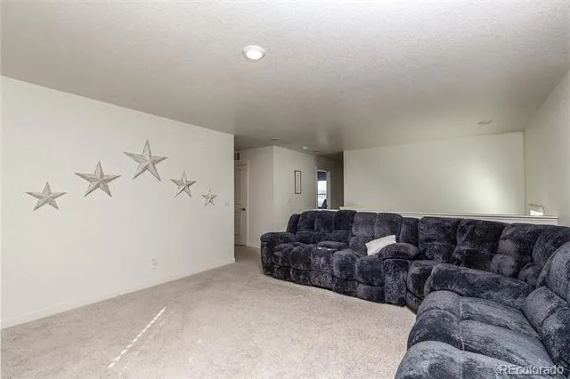 15898 Little Bluestem Road Monument, CO 80132