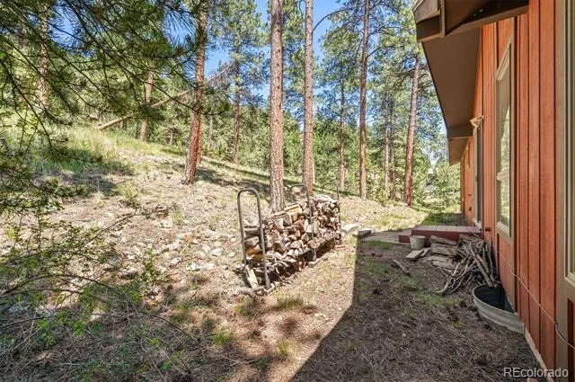 33057 Little Cub Road Evergreen, CO 80439