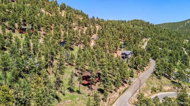33057 Little Cub Road Evergreen, CO 80439