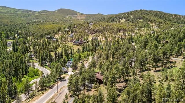 33057 Little Cub Road Evergreen, CO 80439