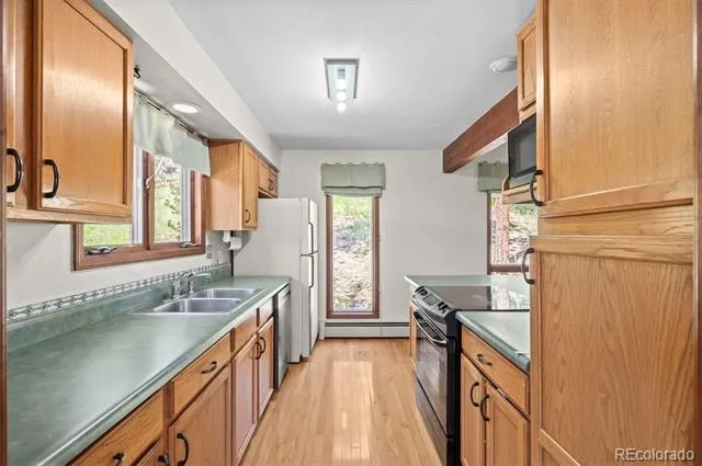 33057 Little Cub Road Evergreen, CO 80439