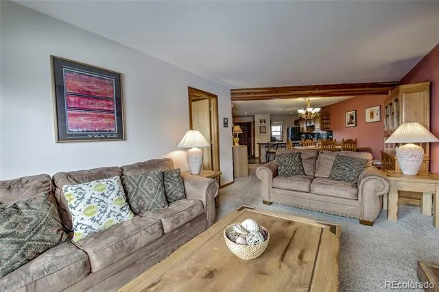 94300 Ryan Gulch Road #301 Silverthorne, CO 80498