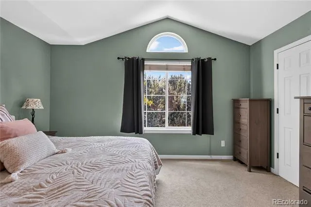 10015 Silver Maple Road Highlands Ranch, CO 80129