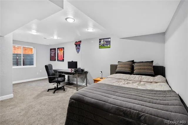 10015 Silver Maple Road Highlands Ranch, CO 80129