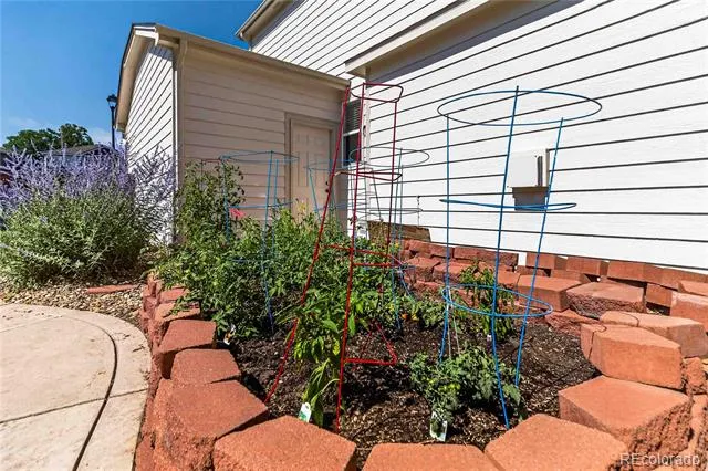 10015 Silver Maple Road Highlands Ranch, CO 80129