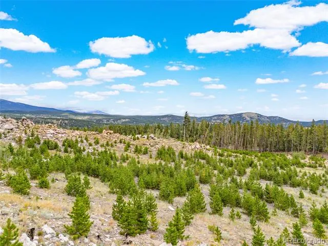 2607 Ridge Road Nederland, CO 80466