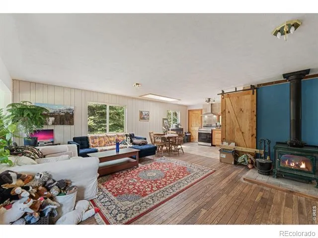 425 Caribou Road Nederland, CO 80466