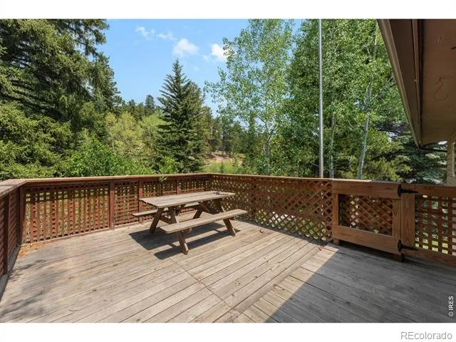 425 Caribou Road Nederland, CO 80466