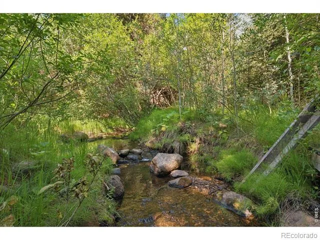 425 Caribou Road Nederland, CO 80466