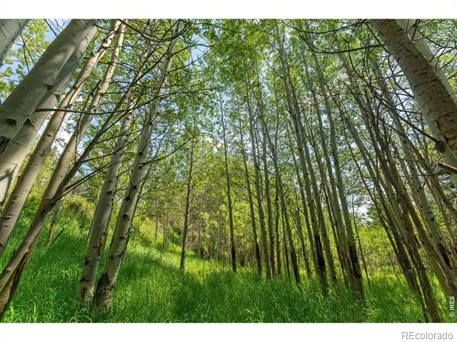425 Caribou Road Nederland, CO 80466