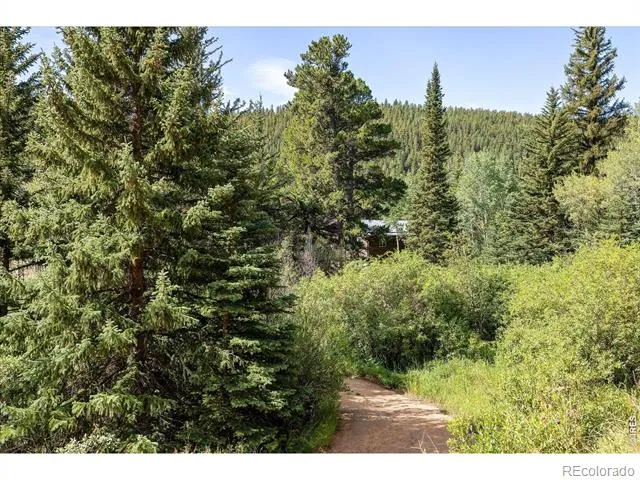425 Caribou Road Nederland, CO 80466