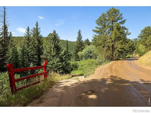 425 Caribou Road Nederland, CO 80466