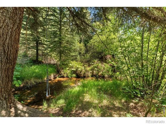 425 Caribou Road Nederland, CO 80466