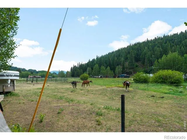 425 Caribou Road Nederland, CO 80466