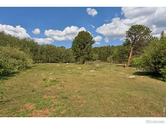 425 Caribou Road Nederland, CO 80466