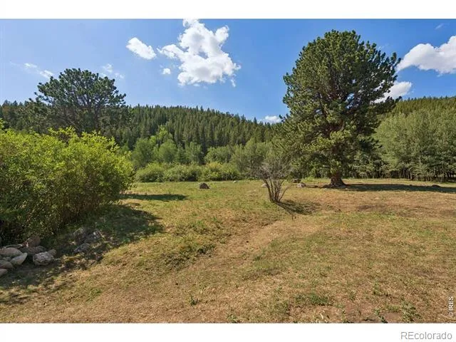 425 Caribou Road Nederland, CO 80466
