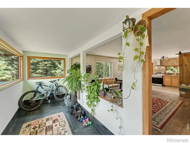 425 Caribou Road Nederland, CO 80466