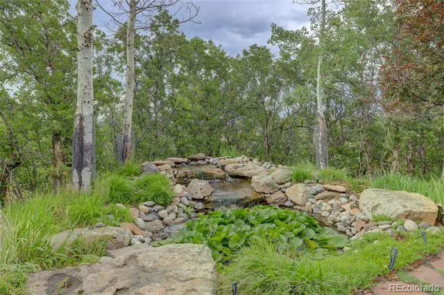 2941 Castle Butte Drive Castle Rock, CO 80109