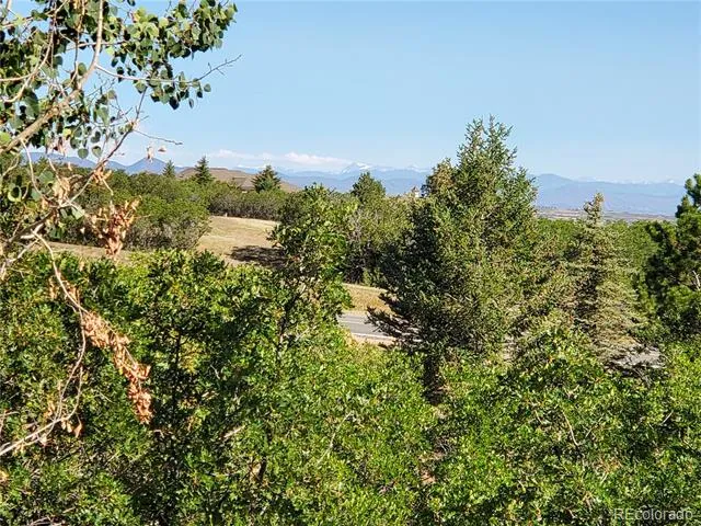 2941 Castle Butte Drive Castle Rock, CO 80109