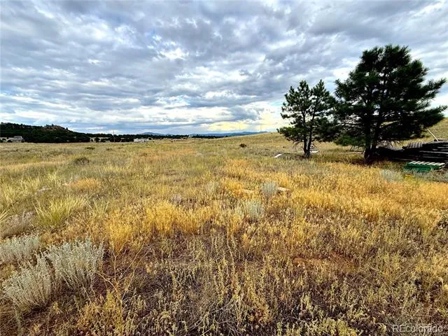 TBD #2, 23rd Trail Cotopaxi, CO 81223
