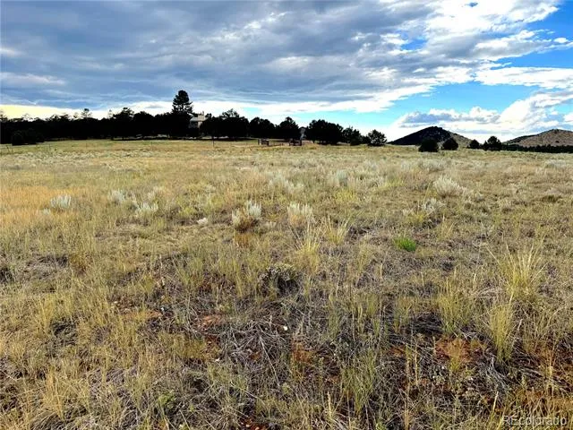 TBD #2, 23rd Trail Cotopaxi, CO 81223