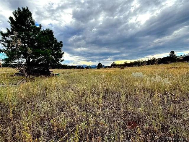 TBD #2, 23rd Trail Cotopaxi, CO 81223