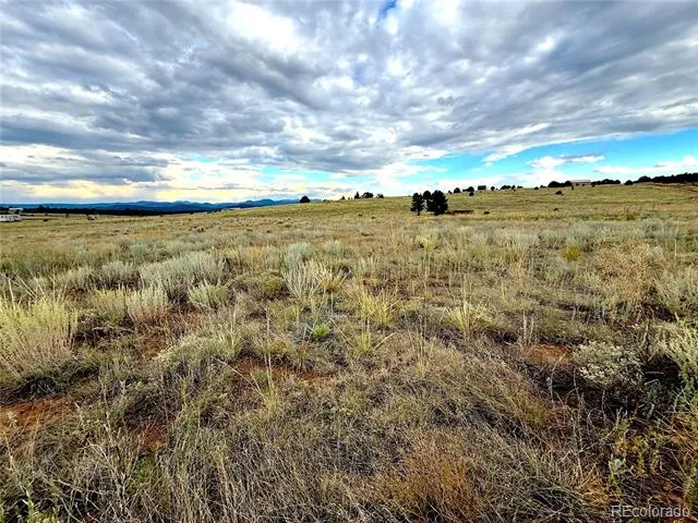 TBD #2, 23rd Trail Cotopaxi, CO 81223